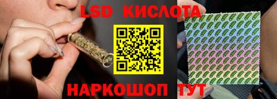 ПСИЛОЦИБИНОВЫЕ ГРИБЫ Нальчик