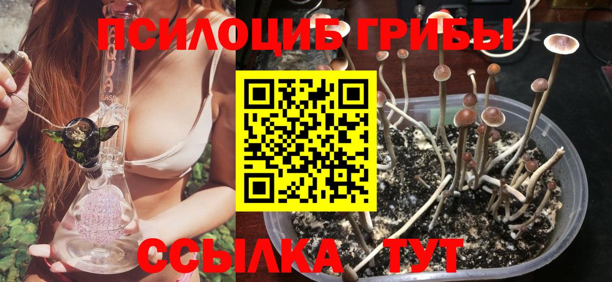 Псилоцибиновые грибы Magic Shrooms  Вход с VPN  Псилоцибиновые грибы мицелий  Чебоксары 