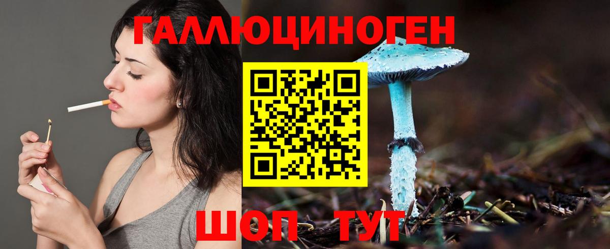 Галлюциногенные грибы прущие грибы Чебоксары